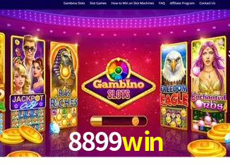 8899win Rio de Janeiro - Bonus Terms